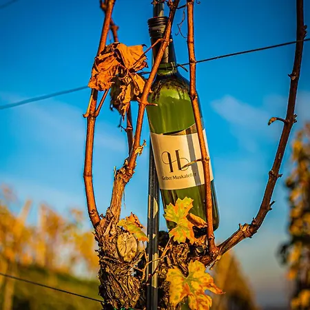 Weingut Hernach Vlg Roschitz Homestay Leutschach