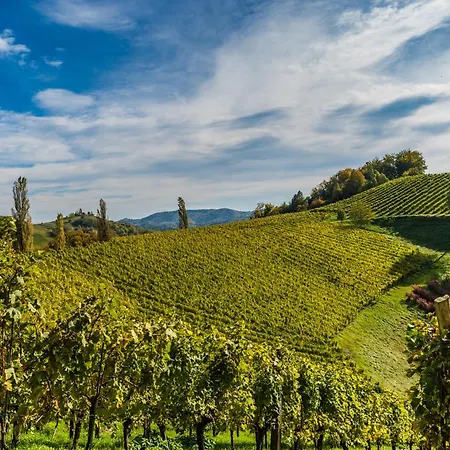Weingut Hernach Vlg Roschitz Rum i privatbostad Leutschach